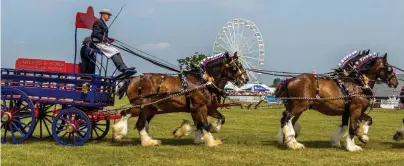  ??  ?? Jailed: Rabar Mala used private messaging app Telegram to threaten to kill thousands at the Royal Cheshire County Show