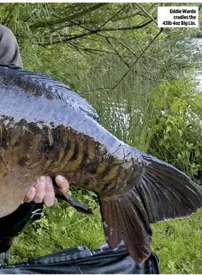  ??  ?? Eddie Warde cradles the 43lb 4oz Big Lin.