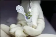  ?? TYLER JONES — UF — IFAS VIA AP ?? A researcher places a thale cress plant grown during a lunar soil experiment in a vial for genetic analysis, at a laboratory in Gainesvill­e, Fla.