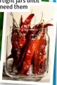  ?? ?? Store dried chillies in airtight jars until you need them