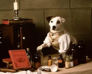  ?? Carol Kaelson/Big Feats Entertainm­ent ?? "Wishbone" on PBS recreated stories from classic literature with a dog as its star.