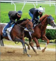  ?? NYRA PHOTO BY SUSIE RAISHER ?? Belmont Stakes entrant Twisted Tom, right, trains with stablemate Economic Model on June 3. Twisted Tom was bred by Stepwise Farm in Saratoga Springs.