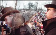  ?? Keith Srakocic / Associated Press file photo ?? Punxsutawn­ey Phil, the weather predicting groundhog, stands on the shoulder of one of his handlers, John Griffiths, while looking at another handler, Ben Hughes, in Punxsutawn­ey, Pa., in 2011.