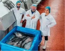  ??  ?? Above: Scottish Sea Farms’ processing team with the new bulk bins