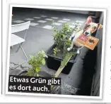  ??  ?? Etwas Grün gibt es dort auch.