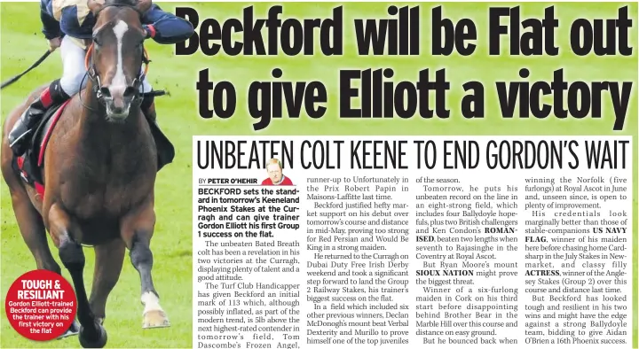  ??  ?? TOUGH & RESILIANT Gordon Elliott-trained Beckford can provide the trainer with his first victory on the flat