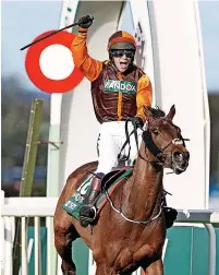  ?? ?? Jockey Sam Waley-cohen celebrates winning the Randox Grand National Handicap Chase on Noble Yeats