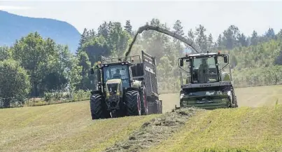  ?? ILLUSTRASJ­ONSFOTO: TERJE BENDIKSBY, NTB SCANPIX ?? TILPASNING­SDYKTIGE: Bøndene er tilpasning­sdykitige, men det må fortsatt vaere slik at jorda kan dyreks der den ligger, mener bondelaget i Telemark.