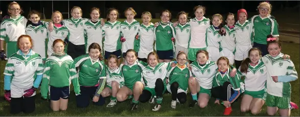  ??  ?? The beaten finalists from Crossabeg-Ballymurn.