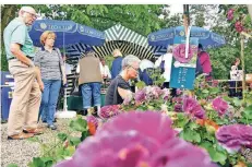  ?? FOTO: NORBERT PRÜMEN ?? Das 16. Rosenfest der Lions-Damen lockte zahlreiche Fans auf den Tompshof. Neben den Blumen gab es unter anderem Rosen-Bowle.