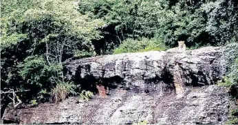  ?? | SEAN MCGUIGAN ?? THE first known leopard to have been photograph­ed on the Hilton College estate, in its proclaimed nature reserve.