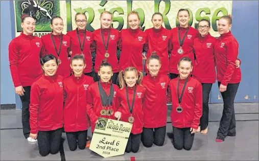  ?? SUBMITTED PHOTO ?? The Summerside Saultos Gymnastics Club had a strong showing at the Irish Rose invitation­al competitio­n in Miramichi, N.B., recently. Front row, from left: Chloe Betts, Emily Ramsay, Clara Arsenault, Isla Shea, Lauryn Monkley and Quinn Gavin. Back row:...