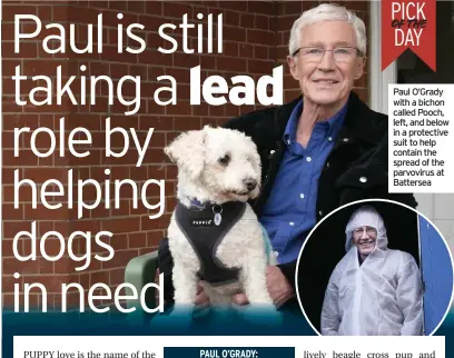  ??  ?? Paul O’grady with a bichon called Pooch, left, and below in a protective suit to help contain the spread of the parvovirus at Battersea