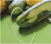  ??  ?? Make treats interestin­g. Try a cucumber
tetherball. Cucumbers are low in calories and have a lot
of water.