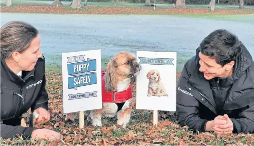  ??  ?? DANGERS: Mairi Gougeon and Gilly Mendes Ferreira with a puppy as they encourage people to be vigilant when buying dogs this Christmas