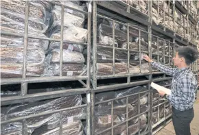  ?? CHANAT KATANYU ?? A man checks out scrap rubber to be used for making car tyres at a plant in Nakhon Pathom. Several tyremakers have criticised methods used in producing Thai rubber, which they say reduces its quality.