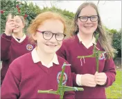  ?? Presentati­on Secondary School) ?? Áine Finn and Aisling Meade of Presentati­on Secondary School, Mitchelsto­wn celebratin­g St Brigid's Feast Day earlier this week. (Pic: