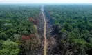  ?? Michael Dantas/AFP/Getty Images ?? A deforested area on a stretch of the BR-230 (Trans-Amazonian Highway) in Humaitá, Amazonas State, Brazil. Photograph: