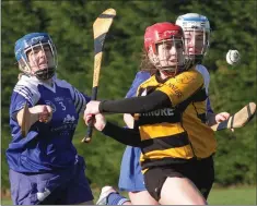  ??  ?? Siobhán Finn (Craanford-Monaseed) tries to hook Shauna O’Connor.