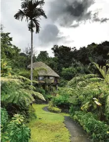  ?? Jody Schmal / Staff ?? Guests stay in thatched roof huts at Vanira Lodge, Tahiti Iti.