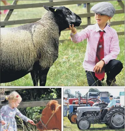  ?? PICTURE: GARY LONGBOTTOM. ?? COUNTRY LIFE: Above, Jessie Barker, six, from Angram near York with a Blue Texel sheep at Thornton Le Dale show; left, one-year-old Sarah Hope from Bempton making friends with a Dexter cow; right, vintage tractors on display.