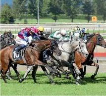  ?? PHOTO: TRISH DUNELL ?? Show the World (outer) noses out Our King Sway (grey) to win the Kaimai Stakes at Matamata on Saturday for Lynsey Satherley.