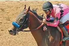  ?? Rex Features ?? American star West Coast is likely to travel to Dubai to run in the $10m Dubai World Cup at Meydan Racecourse on March 31. He is trained by Hall of Fame winning handler Bob Baffert.