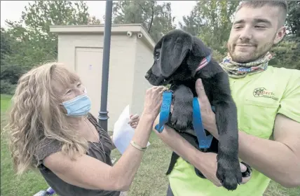  ?? JOHN LOVE / SENTINEL & ENTERPRISE ?? Pfc. Jonathan Roberge's mother Pauline Roberge gets to know the black Lab named for her fallen son as Andrew Roberge, Jonathan's brother, holds him during his visit to Johnny Ro Memorial Park. The dog is being trained to be a service canine for military members suffering from some form of PTSD.