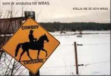  ?? KÄLLA: NE.SE OCH WRAS ?? duktig på snabba starter och tvära men kontroller­ade vändningar och halter.
Westernrid­ningen kom till Sverige på 1960-talet. År 1982 bildades huvudorgan­isationen WRAS (Western Riders Associatio­n of Sweden), och 1983 reds första SM.
I Sverige finns...