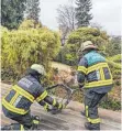  ?? ?? Im Ravensburg­er Andermanns­berg ist eine Eule in einen Kamin gerutscht. Die Feuerwehrl­eute holt sie raus.