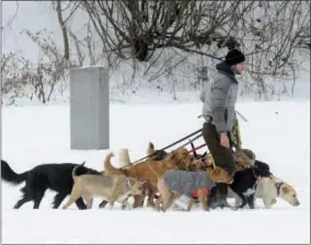  ?? HANS PENNINK — THE ASSOCIATED PRESS FILE ?? In this Thursday file photo, a dog walker controls multiple canines on a walk at Congress Park in Saratoga Springs, N.Y. Starting a business is often a pricey ordeal, but no- to lowcost ideas exist for aspiring entreprene­urs with unique and marketable...