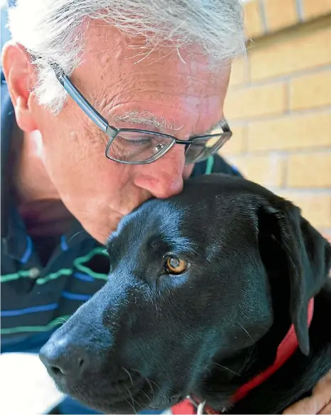  ?? MATTHEW CATTIN/FAIRFAX NZ ?? George Brock enjoys his last day with Abby, who has moved on to specialise­d guide dog training.