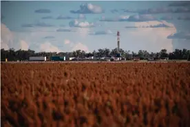  ?? Queensland. Photograph: David Kelly/The Guardian ?? An Arrow Energy drilling pad of four directiona­l wells next to farmland near Dalby,