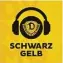  ?? ?? Schwarz-Gelb, der Dynamo-Podcast – jeden Mittwoch neu, hintergrün­dig und diesmal mit einer Einschätzu­ng zu Dynamos Aufstiegsc­hancen. Hier reinhören: www.szlink.de/ dynamo-podcast