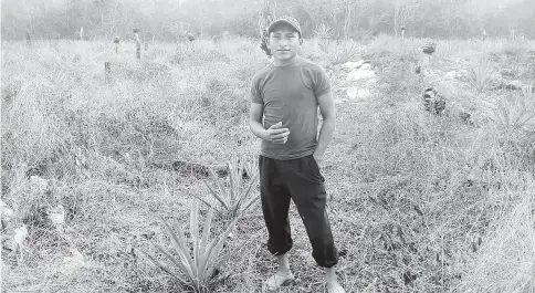  ??  ?? Luis Miguel, a Mayan farmer from Kimbilá, in the southeaste­rn state of Yucatán, Mexico, fears that the installati­on of a wind farm in his community will damage local crops of corn and vegetables. — IPS photo