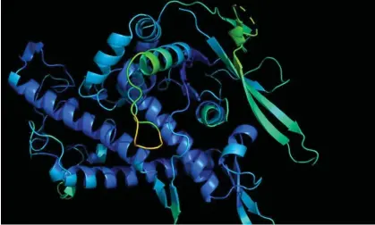  ?? Photograph: Deepmind AlphaFold/DeepMind.Com ?? Previous versions of AlphaFold focused on predicting the 3D structures of 200m proteins, the building blocks of life, from their chemical constituen­ts.