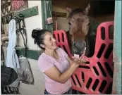  ?? PHOTO BY KEVIN MODESTI ?? Trainer Angie Aquino visits with Around the Dial, an 8-year-old thoroughbr­ed gelding, at her barn at Los Alamitos Race Course. Aquino is the top trainer at Los Al.