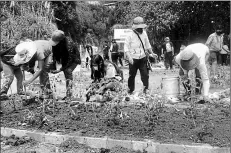  ?? Cortesíaav­es y conservaci­ón ?? • La siembra se realizó en un espacio de la quebrada de El Tejar, previament­e acondicion­ada con jardineras.