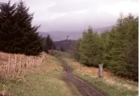  ??  ?? Above left: Walking along a Garadhban Forest track. mountain. Below King’s House Hotel, Glencoe.