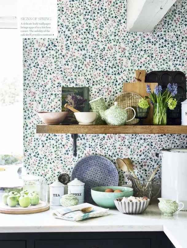  ??  ?? SIGNS OF SPRING A delicate leafy wallpaper brings appeal to a kitchen corner. The solidity of the oak shelf provides contrast.