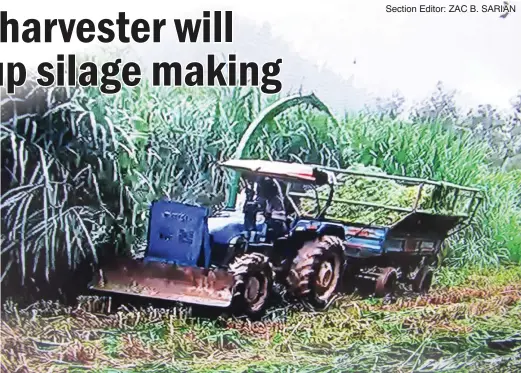  ??  ?? MACHINE HARVESTS AND SHREDS FORAGE SIMULTANEO­USLY – The Enorossi silage mower can make silage production much faster because the biomass is also shredded by the machine right after cutting. At present, materials for silage making are harvested by...