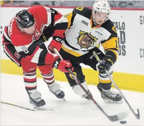  ?? CATHIE COWARD, THE HAMILTON SPECTATOR ?? Hamilton’s Ben Garagan carries the puck behind the Ottawa net during action in the second period Sunday at the Bulldogs’ home opener against the 67’s.