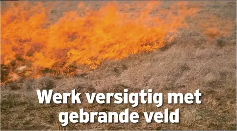  ??  ?? Brande gaan gepaard met grootskaal­se wortelafst­erwing.