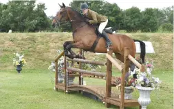  ??  ?? Noble Queen Bee (Jasean Spraggett) scoops the working hunter title