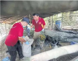  ??  ?? SCENE OF THE CRIME: Police work at an abandoned camp in Songkhla. Smugglers reportedly held Rohingya fleeing Myanmar for ransom there.