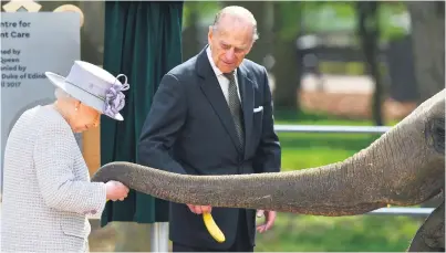  ?? Picture: AFP ?? Britain’s Prince Philip, Duke of Edinburgh, watches as his wife, Queen Elizabeth, feeds an elephant named Donna after opening the new Centre for Elephant Care in Whipsnade, north of London, yesterday.