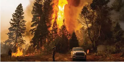  ?? ?? A firefighte­r monitors a backfire, flames lit by fire crews to burn off vegetation, while battling the Mosquito Fire in the Volcanovil­le community of El Dorado County, Calif., on September 9, 2022. Photo: AP/Noah Berger, File