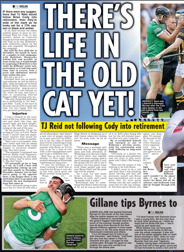  ?? ?? GREEN GIANTS: Aaron Gillane and Diarmaid Byrnes celebrate
RESPECT: Reid with Limerick’s Diarmaid Byrnes after the Cats were beaten in the All-Ireland final last month