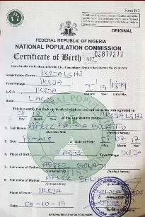 Pressreader The Punch 2019 11 03 Govt Centres Where Fake Babies Get Original Birth Certs For N1 000