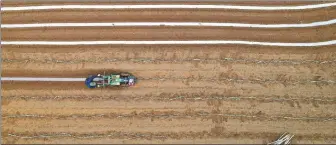  ?? TAN KAIXING / XINHUA XINHUA ?? A farmer drives an agricultur­al machine to cover newly planted sugarcane seeds with mulching film in Rongan county, Guangxi Zhuang autonomous region, on Feb 27.